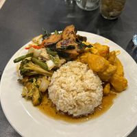 Buffet with brown rice    at Blossoming Lotus in Surfers Paradise