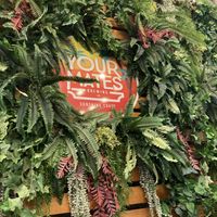 Your Mates at Your Mates Brewing Co in Warana