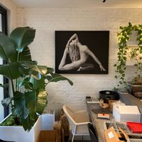 Inside at Sutra in New York City