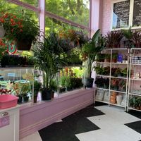   at Guevara's in Brooklyn