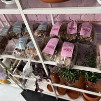 Vegan babka!?  at Guevara's in Brooklyn