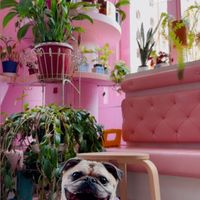   at Guevara's in Brooklyn