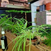  at All Vegan in Hannover