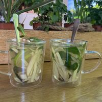   at All Vegan in Hannover