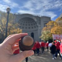 Buckeyes  at Ordinarie Fare in Dayton
