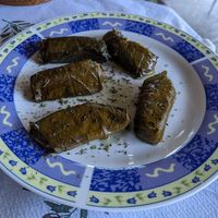 Sarma (vine leaves stuffed with herb rice).  at Taverna Tradicionale in Gjirokaster