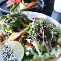  at Greenhouse Canteen + Bar in Columbus