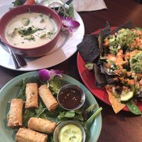 Curry/Rice, spring rolls, and nachos  at The Honu in Dunedin