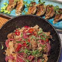 Ginger scallion noodles and Gyoza tofu at Swanky Monkey Garden in Zagreb