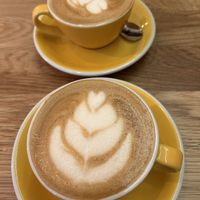 Flat Walters   at Tekstura in Poznan