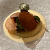   at The Lemon Tree in Deventer