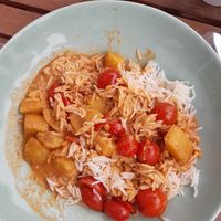 Curry with potatoes, tomatoes and rice at Tarte in Plon