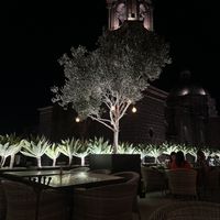   at Fatima 7 Rooftop in San Miguel De Allende
