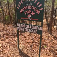 Entrance at The Mushroom Farm in Livingstonia