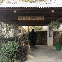 On site coffee roaster supporting local farmers at The Mushroom Farm in Livingstonia