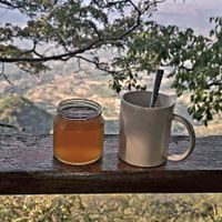 2 important drinks: kombucha and coffee at The Mushroom Farm in Livingstonia