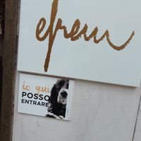  at efrem in Turin