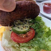 Nomnom at Samocca in Quedlinburg