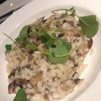 Vegan risotto   at Prati Italia in Jacksonville