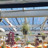  at George's Beach Club in Raglan