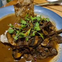 Mushroom Strogonoff (very tasty but a bit expensive) at SER Restaurante in Nosara
