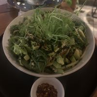 Chevêche   at SER Restaurante in Nosara