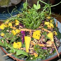  at SER Restaurante in Nosara