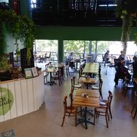 Green Sprouts Vegetarian at Green Sprouts Vegetarian in Neutral Bay