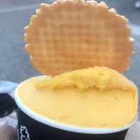 Mango at DaVinci in Athens