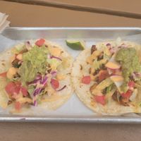 Tofu Tacos at Muñecas Downtown Taco Garden in Gainesville
