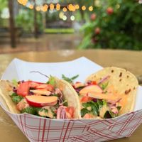  at Muñecas Downtown Taco Garden in Gainesville