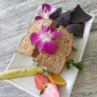 Un-tuna sandwich at The Sanibel Sprout in Sanibel