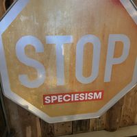   at Speicher in Tubingen