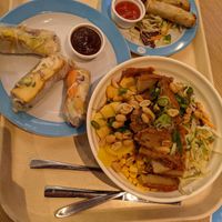 Seitan Bowl, Summer Rolls and spring rolls  at GAP Bowl in Vienna
