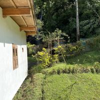 Desde mi habitación  at Charco Corazon in Jardin