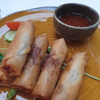 Spring rolls at Malayan Orchid in Bendigo