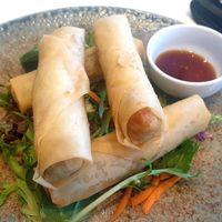 Vegan spring rolls at Oishii on Wheels in Bendigo