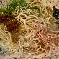   at Vegan AF Ramen in Krakow