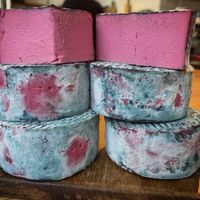 Beet blu at Casheury in Skivarp