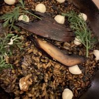 Saccarat at NÜ Restaurant in Tulum