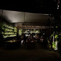   at NÜ Restaurant in Tulum