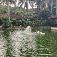  at The Farm at San Benito in Lipa City