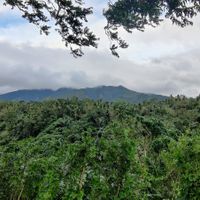  at The Farm at San Benito in Lipa City