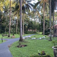 They have beautiful peacocks in the property too  at The Farm at San Benito in Lipa City