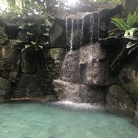 Waterfall pool at The Farm at San Benito in Lipa City
