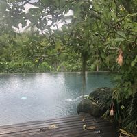 Infinity pool at The Farm at San Benito in Lipa City