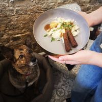 Doggie sausage & mash at Dandie Dog Cafe in North West London