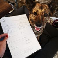 Mmmm at Dandie Dog Cafe in North West London