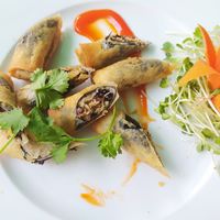 Seaweed springrolls at Goodlife - temporarily closed in Vung Tau