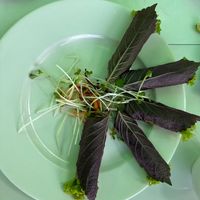  at Goodlife - temporarily closed in Vung Tau